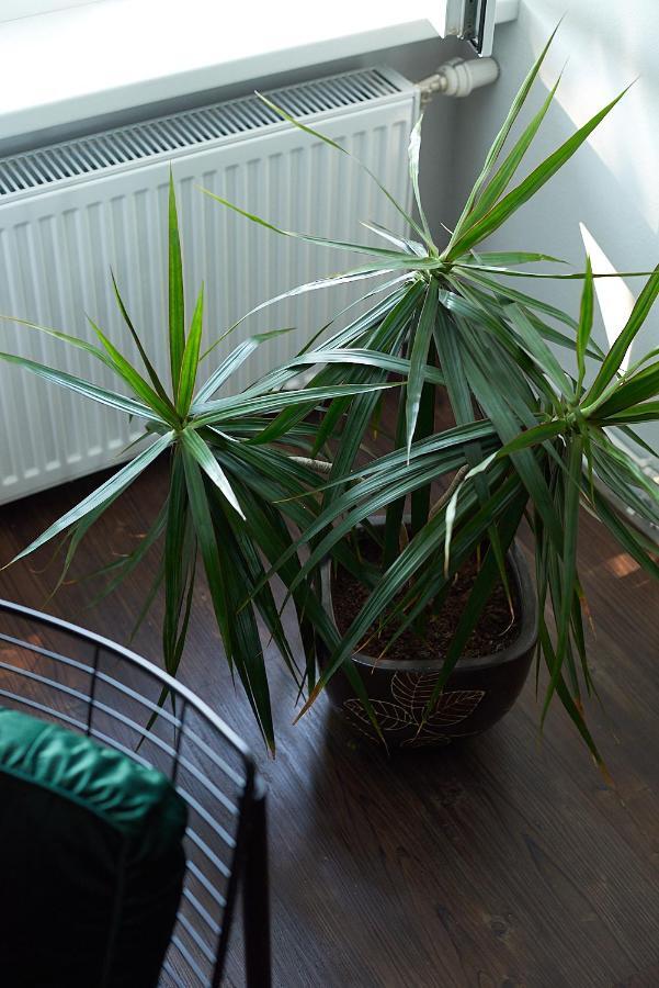 Greenhouse Apartments Jūrkalne Kültér fotó